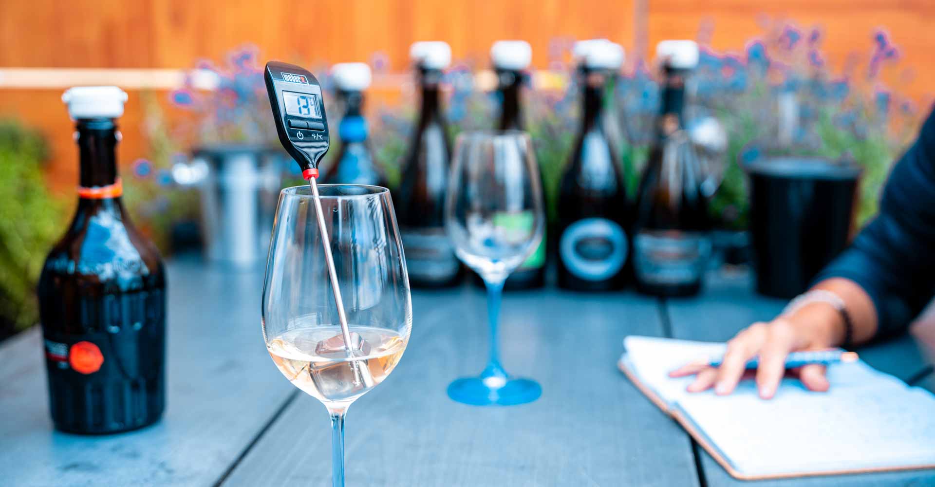 Jak vybíráme víno